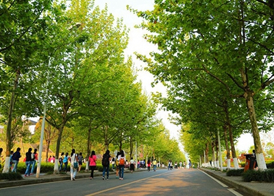 2025年怒江工业机器人中职学校排名