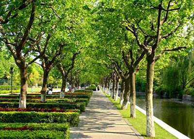2025年初三毕业可以读的张掖新能源汽修学校
