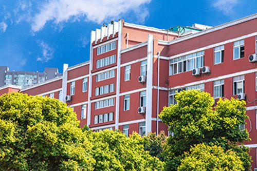 2024红河排名前五的新能源汽车学校名单