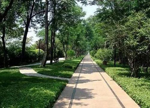 2024甘肃排名前七的厨师学校名单