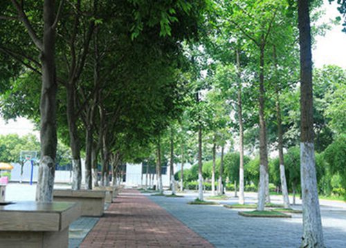 2024大理公办药剂学校有哪些