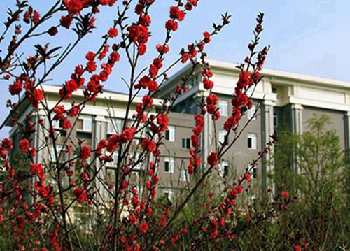 嘉峪关公办中专中职学校排名榜(2024年最新)